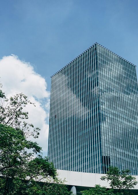 Feel free to mix and match ideas or ask for more suggestions!