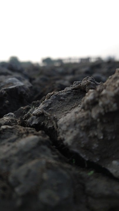 Feel free to mix and match ideas or request more options!