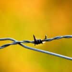 Fencing Your Way to Success: The Power of PPC for Sarasota Small Business Growth