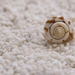 Float to the Top: How Targeted PPC Can Help Your Bradenton Day Spa Shine Brighter