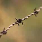 Fortify Your Leads: Why Sarasota Home Security Installers Can't Afford to Ignore PPC