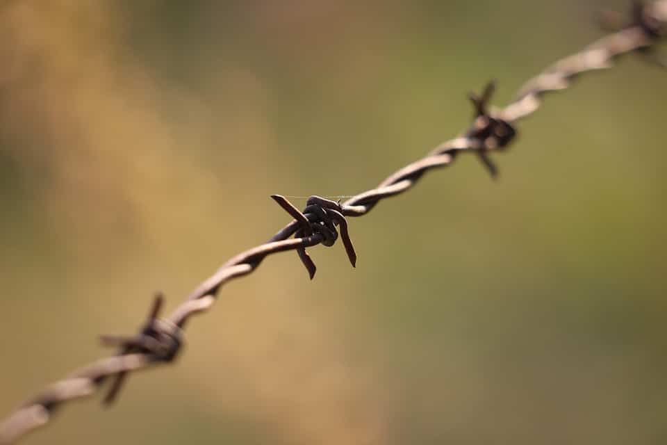 Fortify Your Leads: Why Sarasota Home Security Installers Can't Afford to Ignore PPC