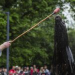 From Bark to Business: 5 SEO Strategies for Sarasota Pet Trainers to Boost Local Visibility
