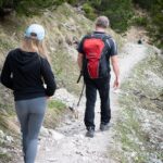 From Bark to Click: Why Sarasota Dog Walkers Should Invest in PPC to Boost Their Business