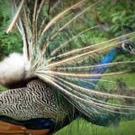 From Clicks to Clients: How SEO Can Boost Your Sarasota Siding Contracting Business