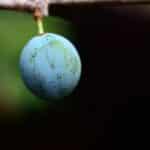 From Clicks to Clients: Transform Your Sarasota Insurance Business with Effective SEO Strategies