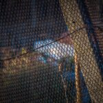 From Clicks to Customers: Transforming Your Sarasota Fence Installation Business with PPC
