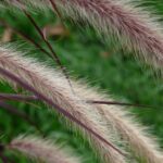 From Clutter to Clicks: Leveraging Dryer Vent Cleaning SEO to Attract Sarasota Customers