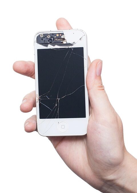 From Damp to Dynamic: The Power of PPC in Boosting Your Sarasota Water Damage Restoration Services