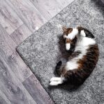 From Dirt to Dollars: The Benefits of PPC Advertising for Local Carpet Cleaners in Sarasota