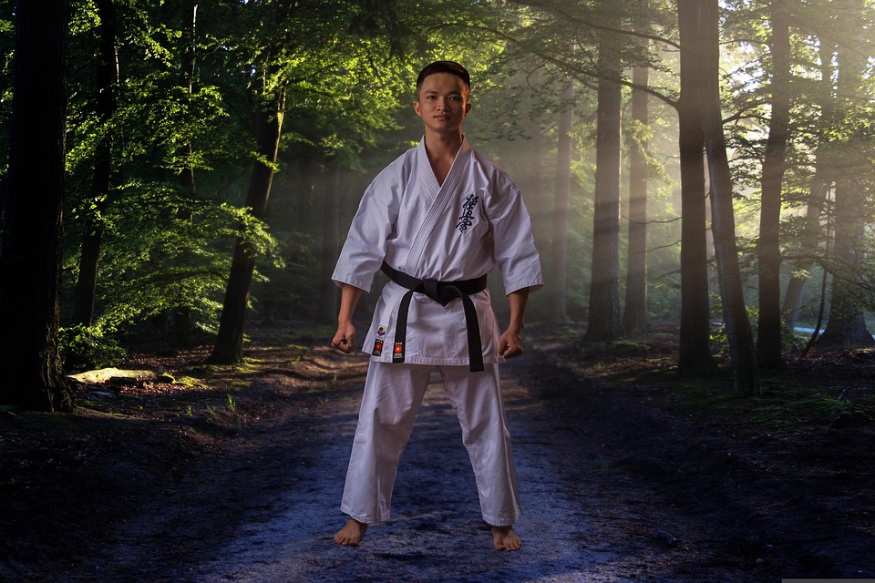 From Dojo to Destination: Leveraging PPC to Boost Your Sarasota Martial Arts School's Visibility
