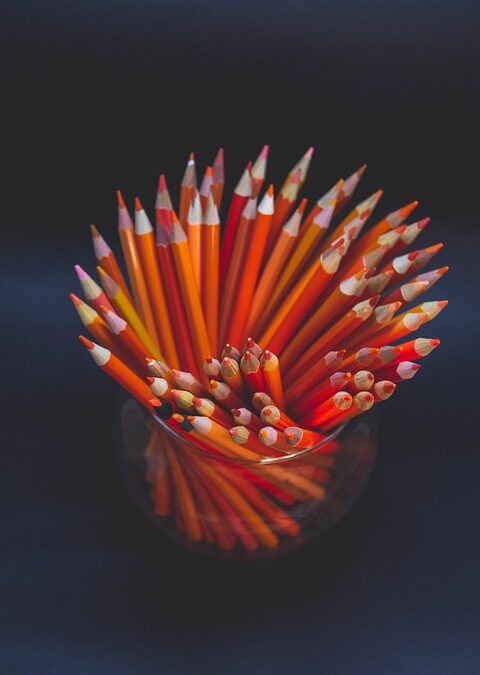 From Dojos to Dollars: Transform Your Sarasota Martial Arts Business with Targeted PPC Campaigns