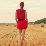 From Dry to Dazzling: Boost Your Sarasota Dryer Vent Cleaning Services with Targeted PPC Strategies!