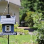 From Dust to Dollars: The Transformative Power of PPC Advertising for Sarasota Cleaners