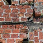 From Flooded to Found: Why Your Water Damage Restoration Business Needs SEO in Sarasota