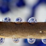 From Floors to Fame: The Impact of SEO on Sarasota's Tile Installers