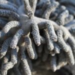 From Foot Traffic to Clicks: How Local SEO Can Elevate Your Gutter Cleaning Business in Bradenton!