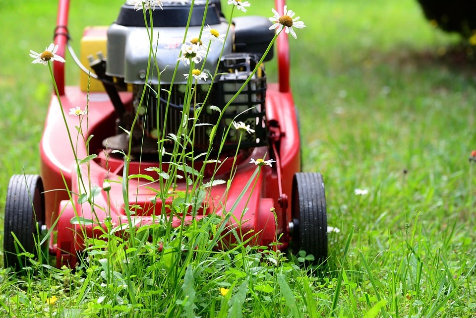 “From Grass to Glory: How PPC Advertising Can Help Your Bradenton Lawn Care Business Stand Out”