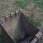 From Groundwork to Growth: Maximizing Your Bradenton Excavation Contracting Business with PPC Ads