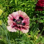 From Invisible to Invincible: Boosting Your Bradenton Day Spa's Online Presence with SEO Strategies