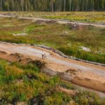 From Invisible to Irresistible: How Local SEO Can Help Your Sarasota Mold Remediation Service Thrive