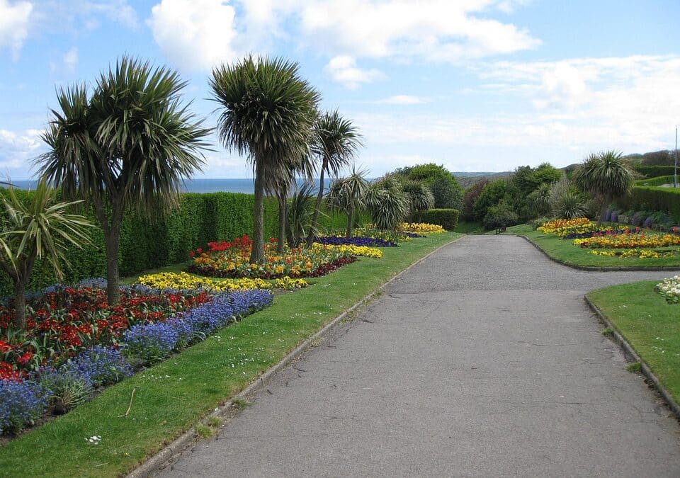 From Local Gardens to Online Rankings: Unlocking the SEO Secrets for Sarasota Landscapers