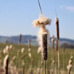 From Local Search to Loyal Customers: How PPC Can Elevate Your Carpet Cleaning Business in Sarasota