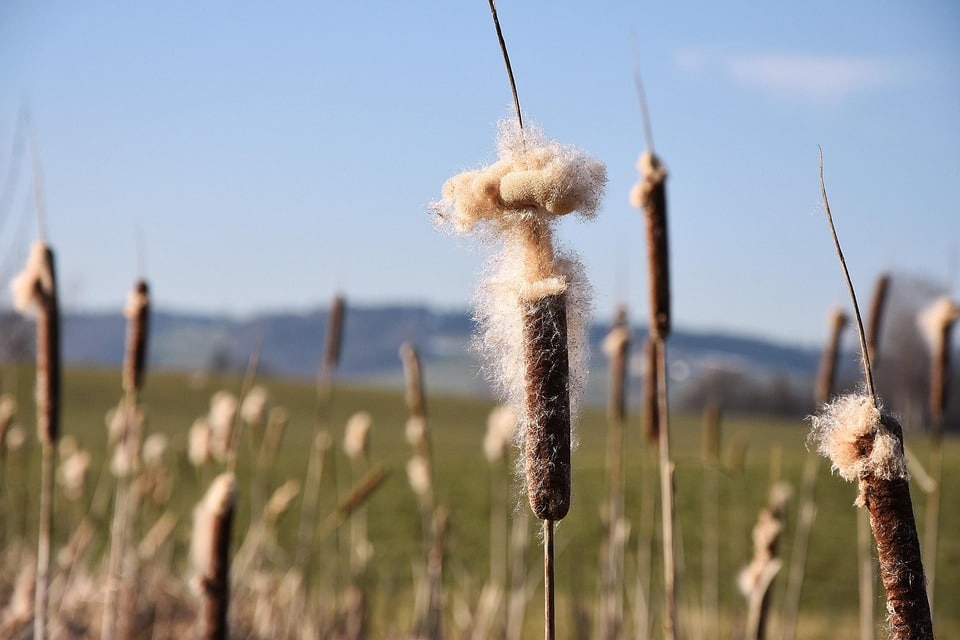 From Local Search to Loyal Customers: How PPC Can Elevate Your Carpet Cleaning Business in Sarasota