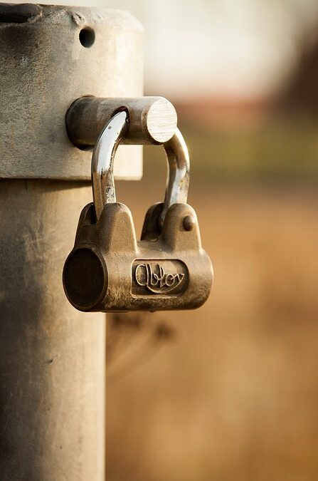 From Local Visibility to Increased Sales: The SEO Advantage for Sarasota Home Security Pros
