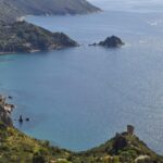 From Local to Leader: Elevate Your Bradenton IT Services with Effective SEO Strategies