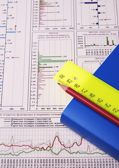 From Local to Lucrative: Harnessing PPC to Elevate Your Accounting Practice in Bradenton