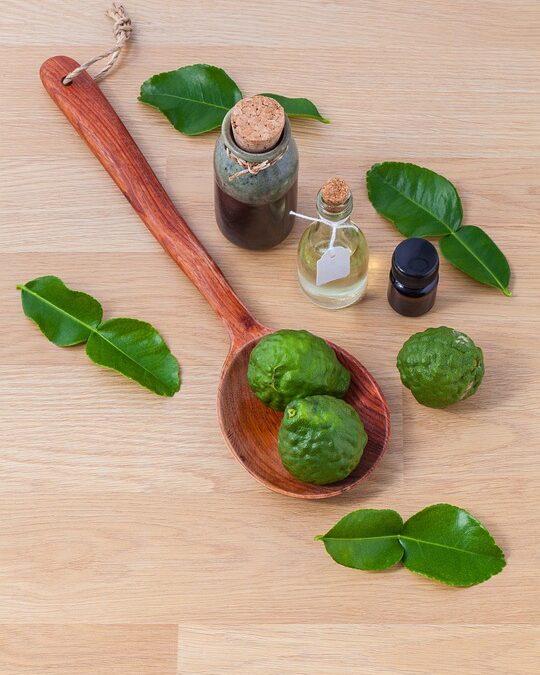 From Local to Lucrative: Why Sarasota Massage Therapists Can’t Afford to Ignore PPC Strategies