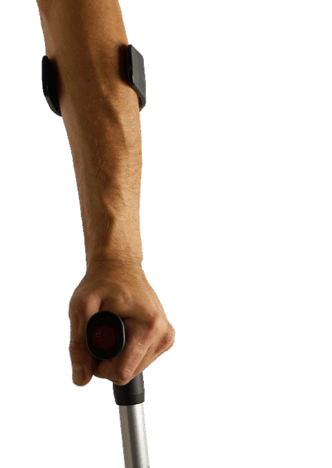 From Park to Page One: Elevating Your Bradenton Dog Walking Business with Smart SEO Tactics