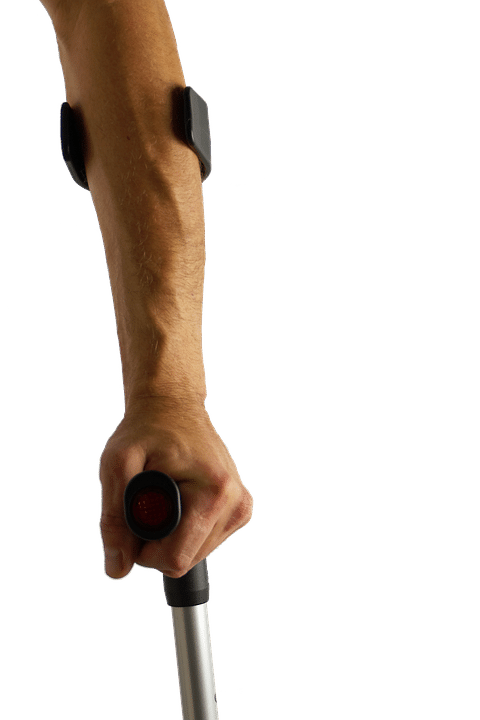 From Park to Page One: Elevating Your Bradenton Dog Walking Business with Smart SEO Tactics