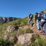 From Paws to Profits: Unlocking the Power of PPC for Bradenton's Dog Walking Businesses