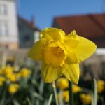 From Relaxation to Revenue: The Untapped Potential of PPC for Sarasota Day Spas