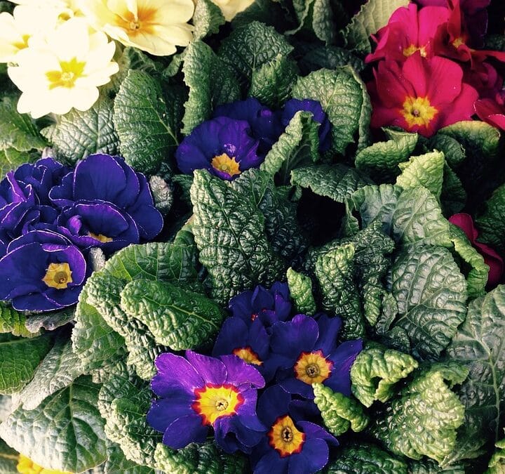 From Relaxation to Revenue: Why Every Bradenton Day Spa Needs a Strong PPC Strategy