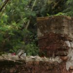 From Ruins to Revenue: Why Every Sarasota Demolition Contractor Needs a Smart PPC Strategy