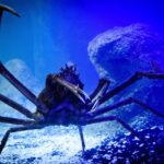 From Septic to Success: Transforming Your Sarasota Business with Targeted PPC Strategies