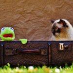 From Trash to Treasure: Harnessing PPC Advertising to Drive Junk Hauling Success in Bradenton