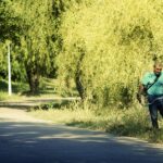 From Trees to Triumph: Boosting Your Sarasota Business with Targeted PPC Strategies