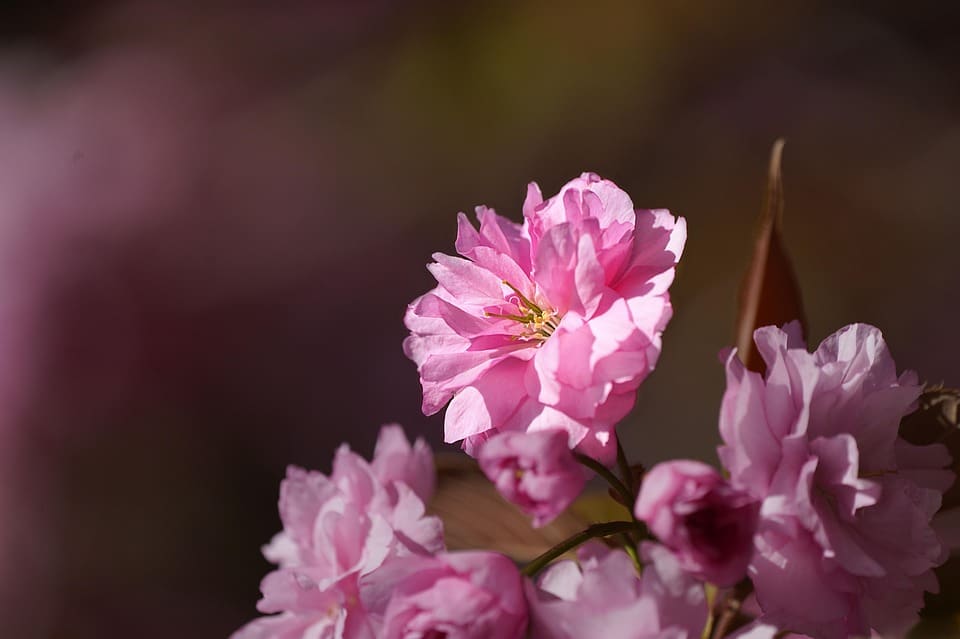 Get Found Fast: The ROI of PPC for Bradenton's General Contracting Businesses