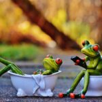 Get Found Fast: Why Local Sarasota Personal Trainers Can't Afford to Ignore PPC Advertising
