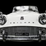 Get Noticed in Paradise: Harnessing PPC to Boost Your Sarasota Auto Detailing Business!