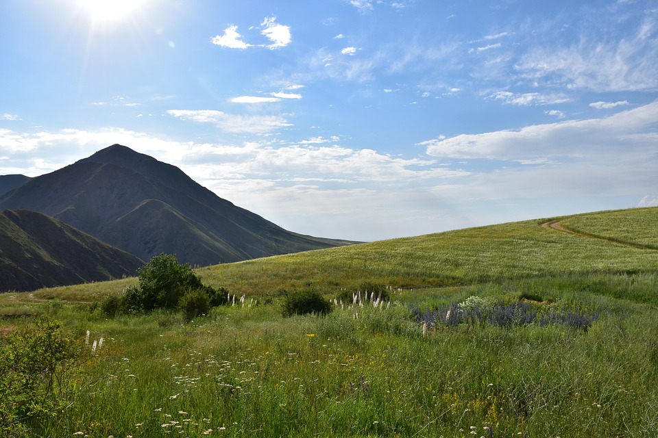 Grading Your Way to Success: How Smart SEO Strategies Can Transform Your Sarasota Business