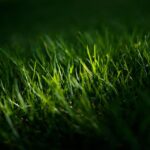 Grow Your Lawn Care Business: How PPC Advertising Can Help You Flourish in Sarasota
