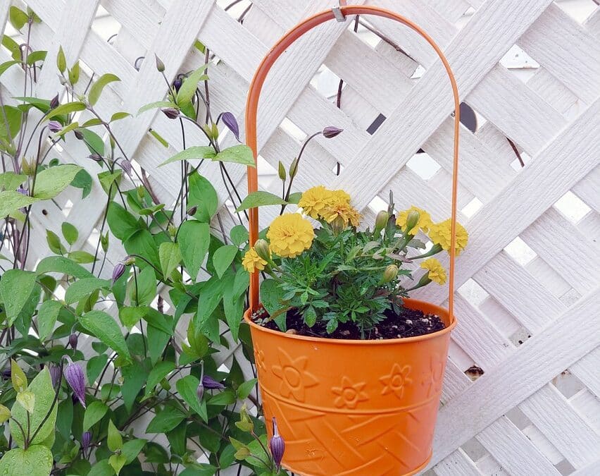 Growing Green: How PPC Advertising Can Cultivate Your Sarasota Landscaping Business