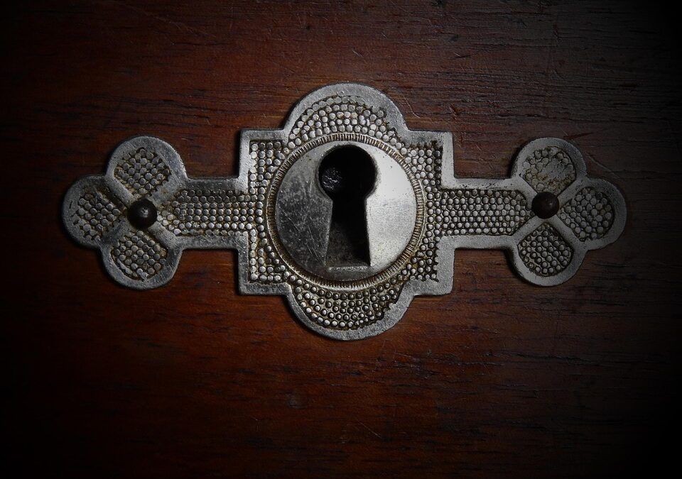 Guarding Your Bottom Line: The Transformative Benefits of PPC for Sarasota Home Security Installers