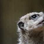 How Local SEO Can Elevate Your Bradenton Moving Company Above the Competition