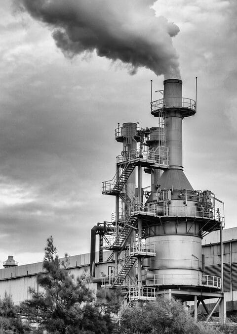 “Ignite Your Growth: How Local SEO Can Transform Your Bradenton Chimney Sweep Business”